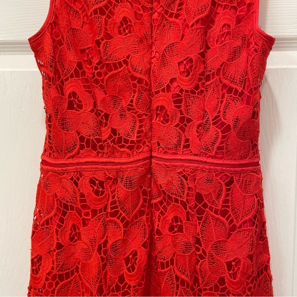 Ann Taylor Lace Dress - Picture 9 of 16